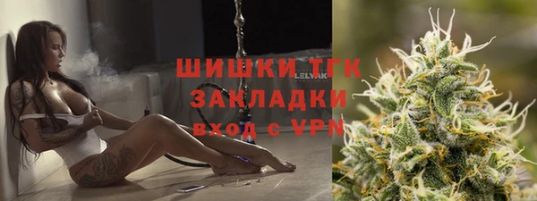 мдпв Заводоуковск