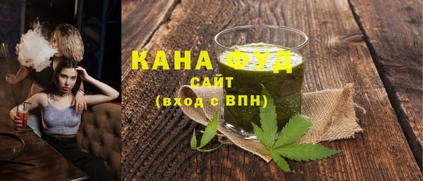 мдпв Заводоуковск
