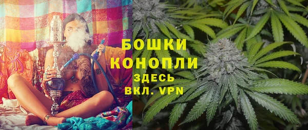 мдпв Заводоуковск