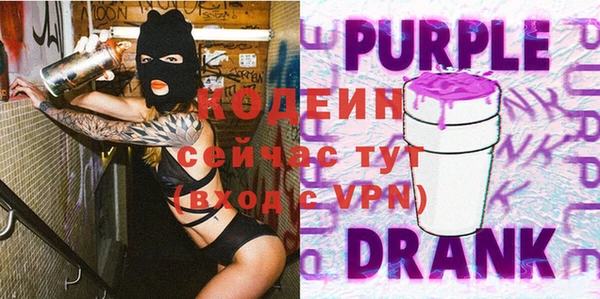 мдпв Заводоуковск