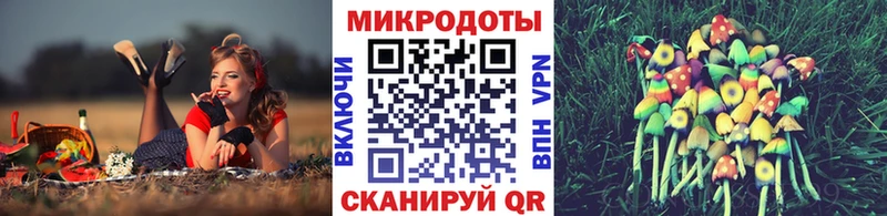 Галлюциногенные грибы Psilocybe  Купить где  Калининск 